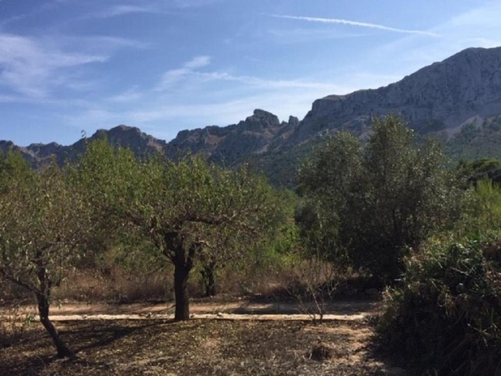 One Bed Apartment Overlooking Jalon Valley, Costa Blanca Alcalali Exterior photo