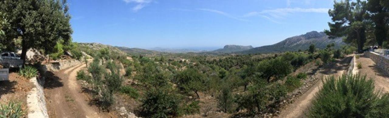 One Bed Apartment Overlooking Jalon Valley, Costa Blanca Alcalali Exterior photo